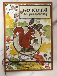 Handmade birthday card featuring a cute squirrel stamped with Cajun Craze and Old Olive colours