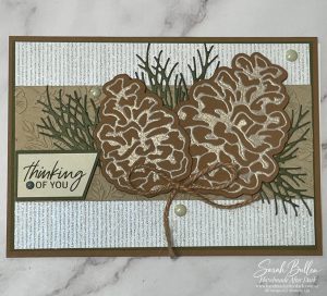 Pinecones with shimmering vellum detail on a subtle glimmer background in neutral tones
